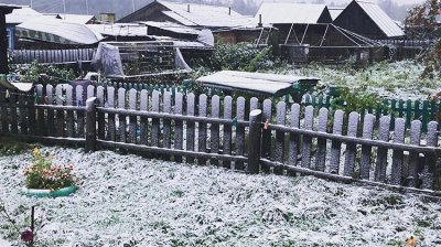 На севере Приамурья выпал первый снег