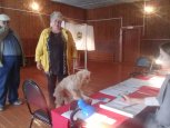 Танкисты, танцующие пенсионеры и даже собаки: как проходят выборы в Амурской области