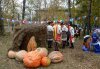 Жители Приамурья в пятый раз выберут на фестивале самую большую тыкву