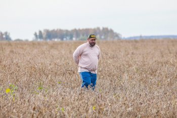 «Мы — русские!»: староверы из Южной Америки готовы поднимать амурскую целину