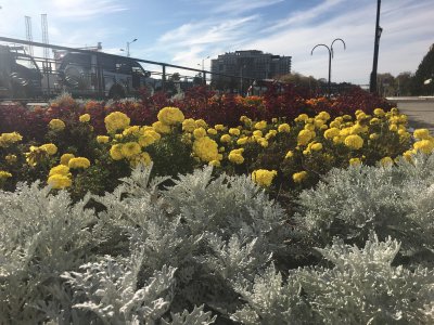 В Приамурье пришел холод и снег: прогноз погоды на 14 октября