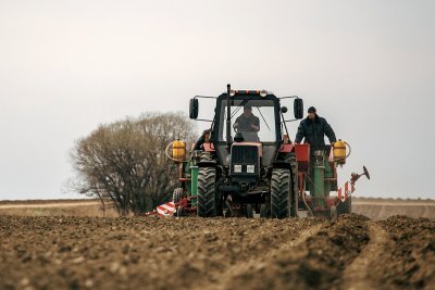 Земля пополнит сельские бюджеты: крестьяне и сельсоветы выступают за повышение земельной аренды