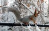 На севере пройдут снегопады, на юге потеплеет до нуля: прогноз погоды в Приамурье