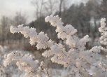 В Приамурье малоснежно и морозно: прогноз погоды