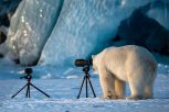 Утро с «Амурской правдой»: медведь-фотограф, новый мистер Бин и как не переесть в новогоднюю ночь