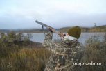 Амурских гусей-вредителей хотят занести в Красную книгу и запретить на них охоту