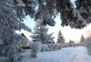Тепло, но ветрено: прогноз погоды в Амурской области на Татьянин день