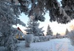 Тепло, но ветрено: прогноз погоды в Амурской области на Татьянин день