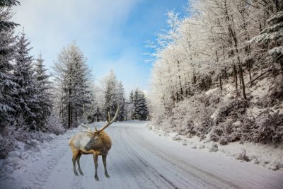 Утро с «Амурской правдой»: 7 эффективных методов планирования и новый мем