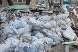 Амурским властям разрешат назначать на год «мусорного» регионального оператора без конкурса