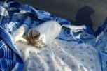 Перекрыли канал: амурчанин планировал организовать поставку наркотиков в Хабаровск и ЕАО