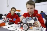 Дети из отдаленных районов Приамурья будут изучать робототехнику в КамАЗе