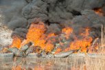 Пожары охватили 260 гектаров территории Приамурья