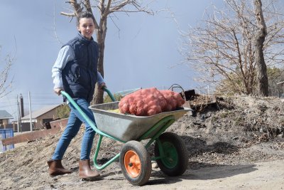 Спецпроект АП «Моя фазенда»: журналист проращивает картофель, посеял ранние огурцы и капусту