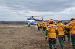 Два самолета и вертолет Ми-8 тушат лесные пожары в Амурской области
