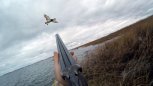 Орнитологи просят амурских охотников фотографировать отстреленных гусей и уток
