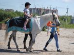 Депутаты запретят кататься на лошадях по амурским городам