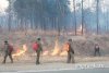 Амурские лесники и пожарные потушили огонь у Новинки и лагеря «Колосок»