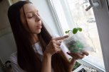 Спецпроект: корреспондент АП занялась пикировкой перцев, баклажанов и капусты