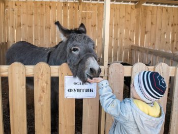 В гостях у Фунтика: в Благовещенске официально открылись парки