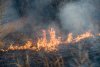 Около 30 амурчан оштрафовали за первомайские костры