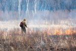 Леса горят в четырех районах Амурской области