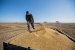 Минсельхоз поможет Приамурью увеличить экспорт сои в Юго-Восточную Азию