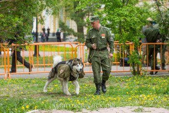 Губернатор поблагодарил амурских пограничников за службу