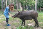 Журналист «Амурской правды» Анна Дерова получит спецприз от Всемирного фонда дикой природы