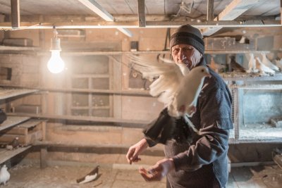 «Лучше рыбалки!»: пенсионер из Березовки всю жизнь разводит голубей