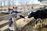 Полтора десятка начинающих амурских фермеров получат гранты на развитие