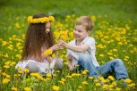 10 целебных мыслей, амурские журавлята и как рождаются многоножки: утро с «Амурской правдой»