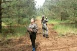 Шишки элитной сосны начали считать в Свободненском районе