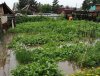 Из-за обильных осадков в Зейском районе размыло дороги и затопило частный сектор