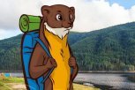 Стартовало голосование по выбору имени для куницы — талисмана форума AMUR TRAVEL