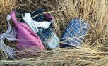Следователи продолжают поиск убийцы школьницы из Белогорска Веры Захаровой