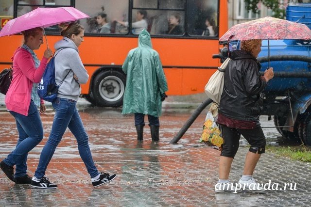 Фото: Архив АП