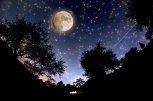 Амурчане смогут наблюдать за зрелищным звездным дождем Персеид