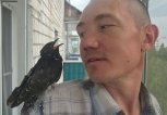 Житель Тынды выкармливает найденного у теплотрассы кукушонка