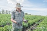 Амурское КФХ «С.Е.В.» выращивает элитный семенной картофель