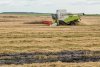 Паводок нанес ущерб сельскому хозяйству на два миллиарда рублей