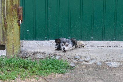 Дожди, ливни, грозы: прогноз погоды в Амурской области