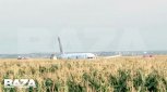 Пассажирский самолет в Подмосковье столкнулся со стаей чаек и экстренно сел на кукурузном поле