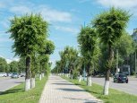 Стрит-арт на кондитерской фабрике Благовещенска, почему улитка стала зомби: утро с «Амурской правдой