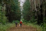 Восемь грибников пропали в амурских лесах
