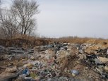 Мэрия амурской столицы уберет свалку вдоль дороги на золоотвал Благовещенской ТЭЦ