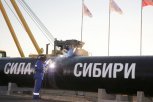 На время заполнения трубопровода «Сила Сибири» в Приамурье введут ограничения для людей и скота