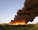 Спасти от чумы два крупных амурских свинокомплекса пытаются бригады военных химиков