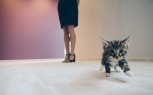 2 процента для ипотеки: кто из амурчан сможет получить кредит на жилье по льготной ставке