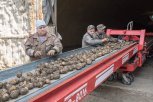 Белогорским подтопленцам выдадут 64 тонны овощей